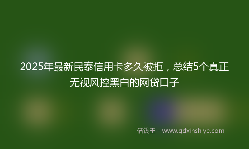 2025年最新民泰信用卡多久被拒，总结5个真正无视风控黑白的网贷口子