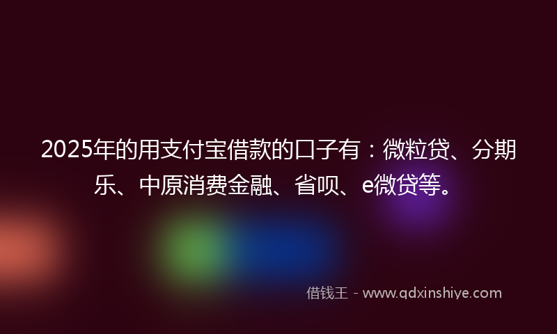 2025年的用支付宝借款的口子有：微粒贷、分期乐、中原消费金融、省呗、e微贷等。