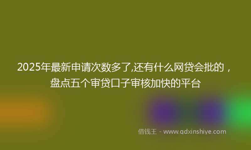2025年最新申请次数多了,还有什么网贷会批的，盘点五个审贷口子审核加快的平台