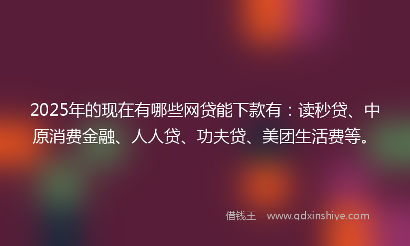 2025年的现在有哪些网贷能下款有：读秒贷、中原消费金融、人人贷、功夫贷、美团生活费等。