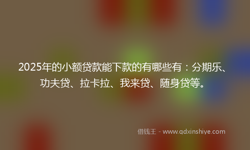 2025年的小额贷款能下款的有哪些有：分期乐、功夫贷、拉卡拉、我来贷、随身贷等。