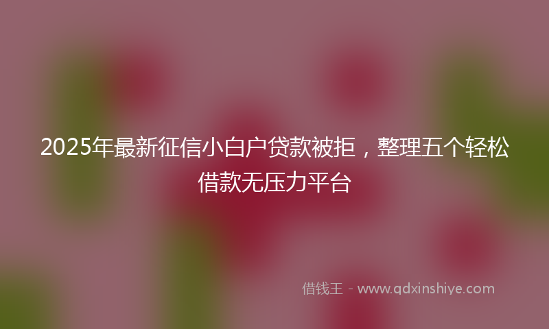 2025年最新征信小白户贷款被拒，整理五个轻松借款无压力平台