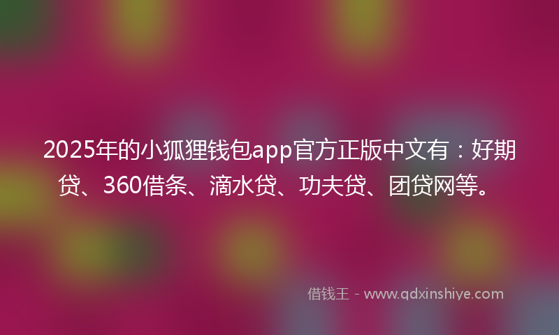 2025年的小狐狸钱包app官方正版中文有：好期贷、360借条、滴水贷、功夫贷、团贷网等。
