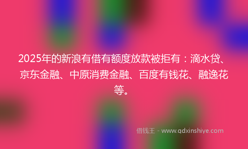 2025年的新浪有借有额度放款被拒有：滴水贷、京东金融、中原消费金融、百度有钱花、融逸花等。