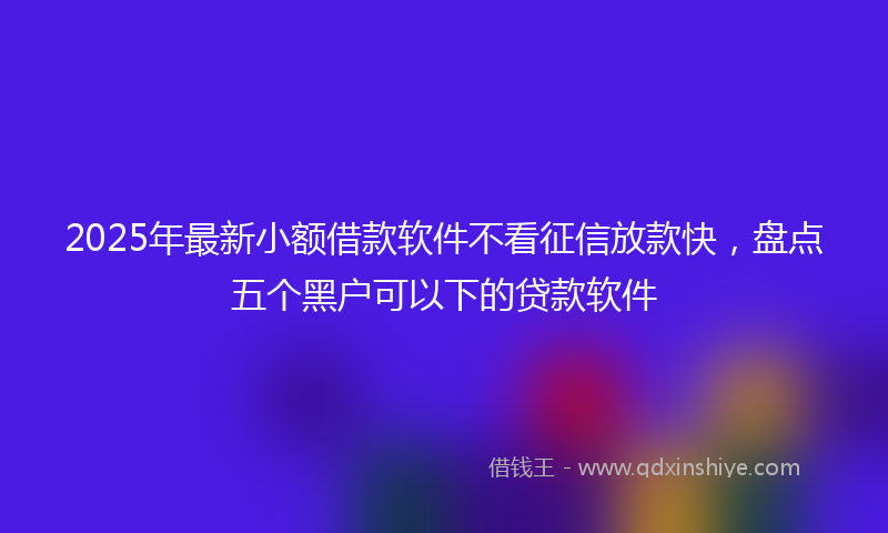 2025年最新小额借款软件不看征信放款快，盘点五个黑户可以下的贷款软件