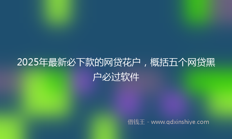 2025年最新必下款的网贷花户，概括五个网贷黑户必过软件