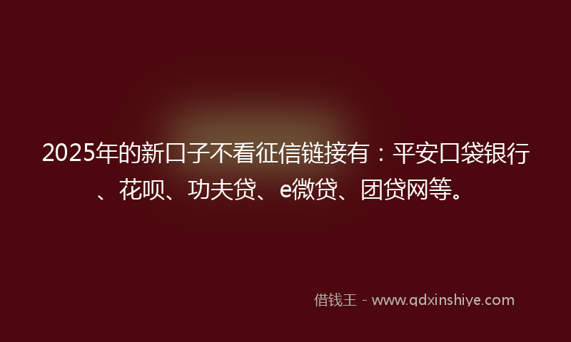 2025年的新口子不看征信链接有：平安口袋银行、花呗、功夫贷、e微贷、团贷网等。