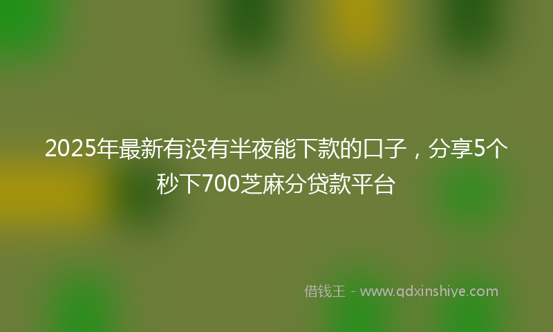 2025年最新有没有半夜能下款的口子，分享5个秒下700芝麻分贷款平台