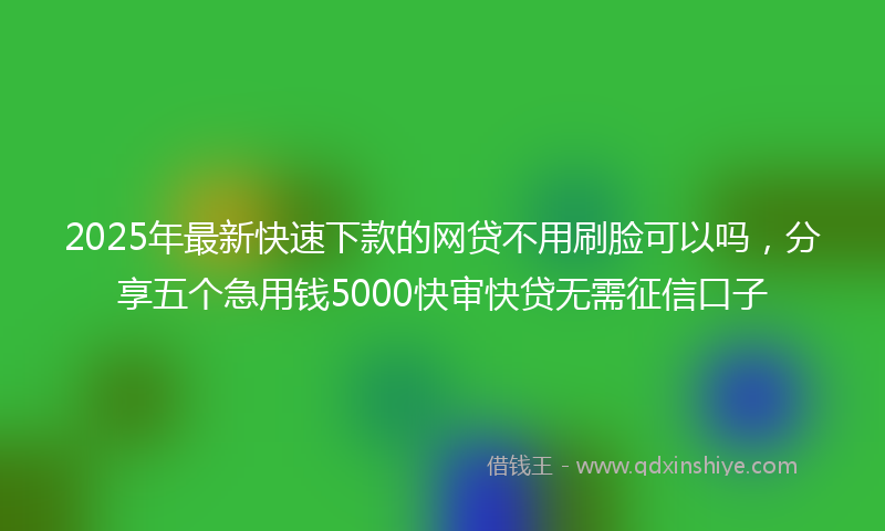 2025年最新快速下款的网贷不用刷脸可以吗，分享五个急用钱5000快审快贷无需征信口子