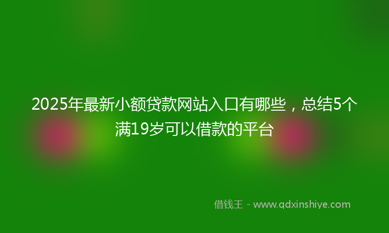 2025年最新小额贷款网站入口有哪些，总结5个满19岁可以借款的平台