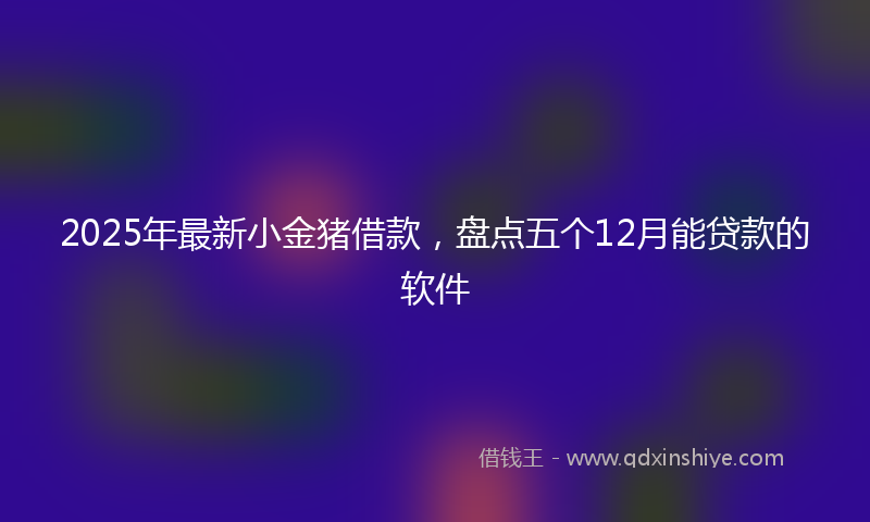 2025年最新小金猪借款，盘点五个12月能贷款的软件