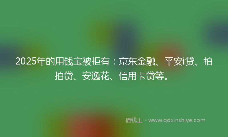 2025年的用钱宝被拒有：京东金融、平安i贷、拍拍贷、安逸花、信用卡贷等。