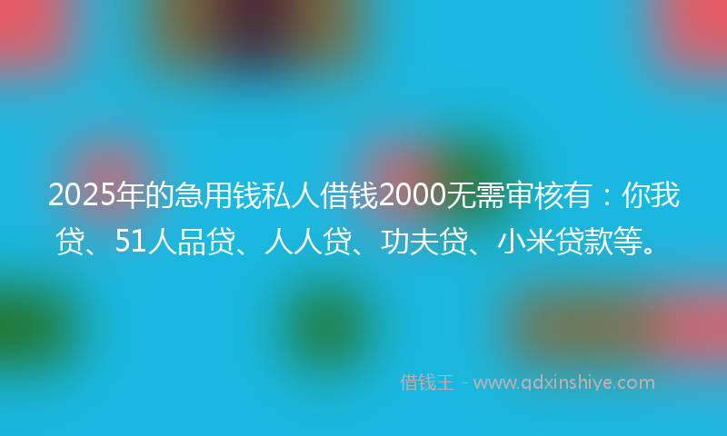 2025年的急用钱私人借钱2000无需审核有：你我贷、51人品贷、人人贷、功夫贷、小米贷款等。