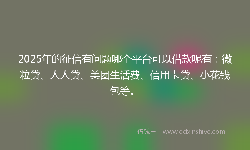 2025年的征信有问题哪个平台可以借款呢有：微粒贷、人人贷、美团生活费、信用卡贷、小花钱包等。