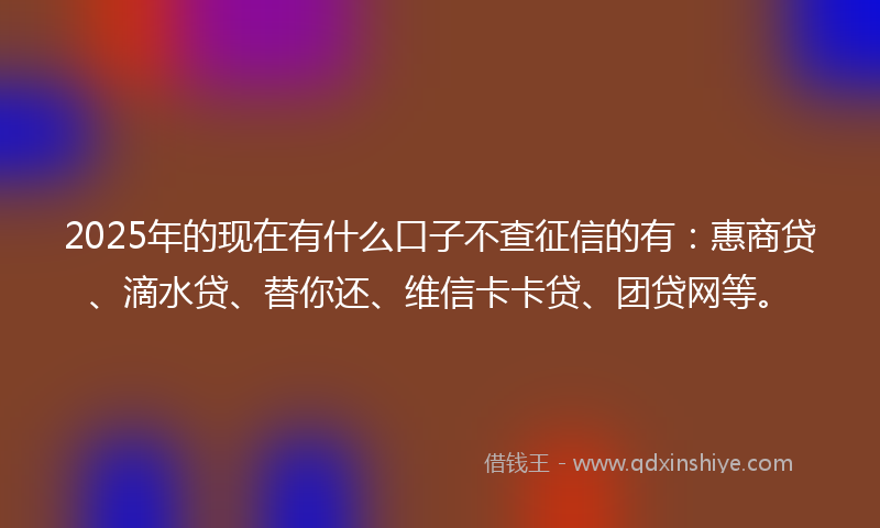 2025年的现在有什么口子不查征信的有：惠商贷、滴水贷、替你还、维信卡卡贷、团贷网等。