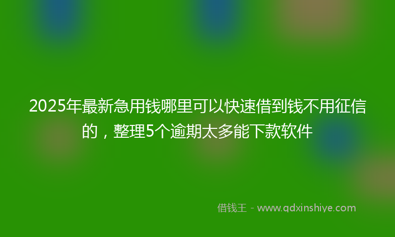 2025年最新急用钱哪里可以快速借到钱不用征信的，整理5个逾期太多能下款软件