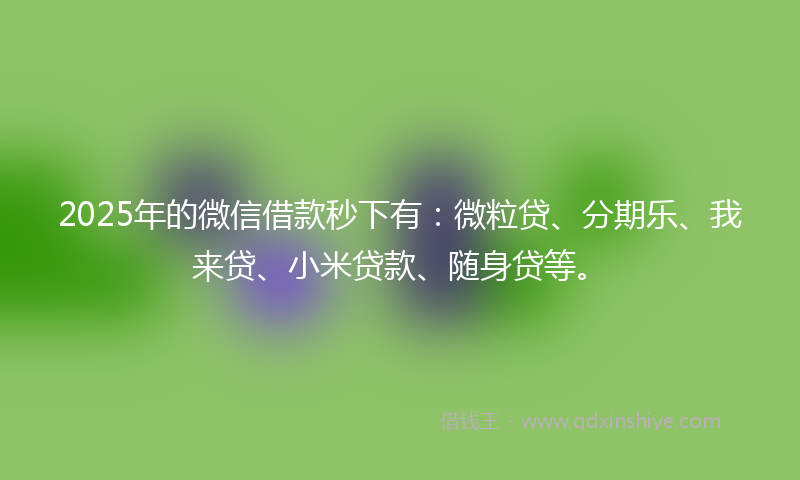 2025年的微信借款秒下有：微粒贷、分期乐、我来贷、小米贷款、随身贷等。