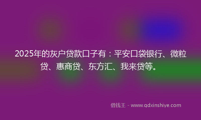 2025年的灰户贷款口子有：平安口袋银行、微粒贷、惠商贷、东方汇、我来贷等。