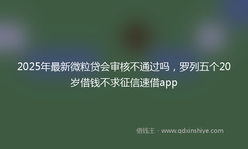 2025年最新微粒贷会审核不通过吗，罗列五个20岁借钱不求征信速借app