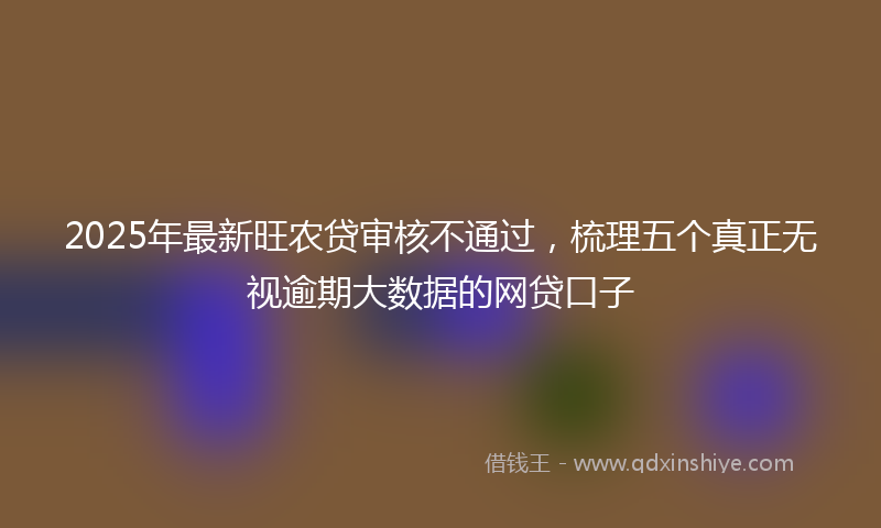 2025年最新旺农贷审核不通过，梳理五个真正无视逾期大数据的网贷口子