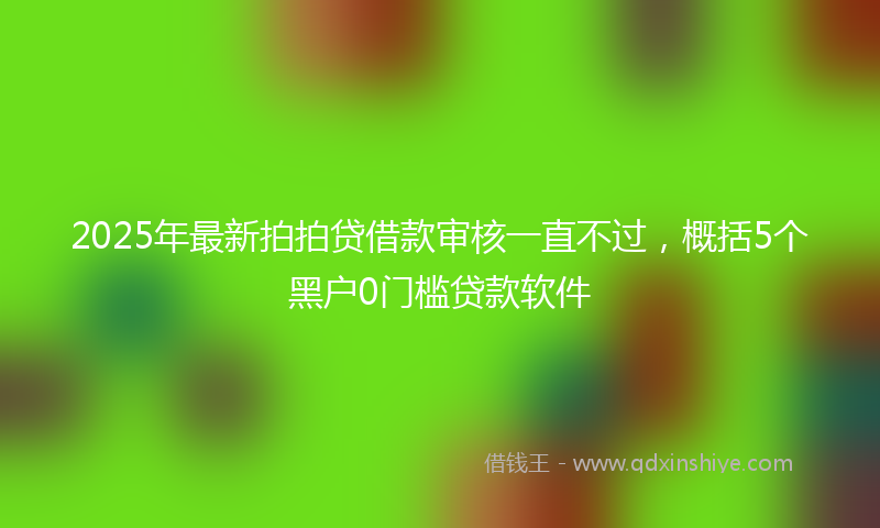 2025年最新拍拍贷借款审核一直不过，概括5个黑户0门槛贷款软件
