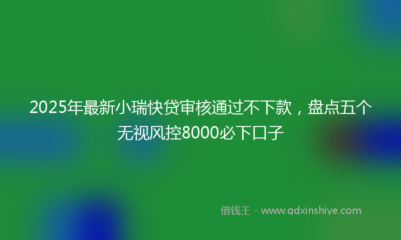 2025年最新小瑞快贷审核通过不下款，盘点五个无视风控8000必下口子