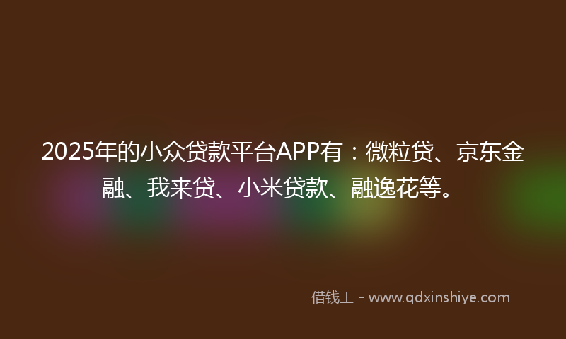 2025年的小众贷款平台APP有：微粒贷、京东金融、我来贷、小米贷款、融逸花等。