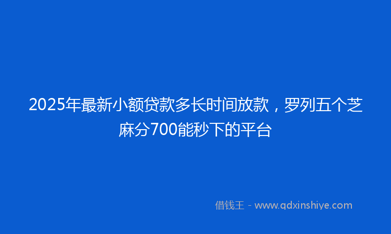 2025年最新小额贷款多长时间放款，罗列五个芝麻分700能秒下的平台