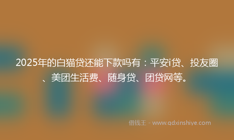 2025年的白猫贷还能下款吗有：平安i贷、投友圈、美团生活费、随身贷、团贷网等。