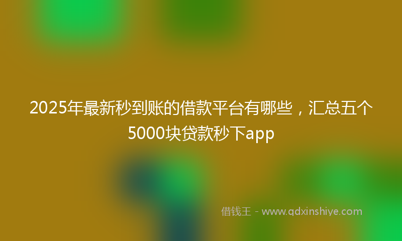 2025年最新秒到账的借款平台有哪些，汇总五个5000块贷款秒下app