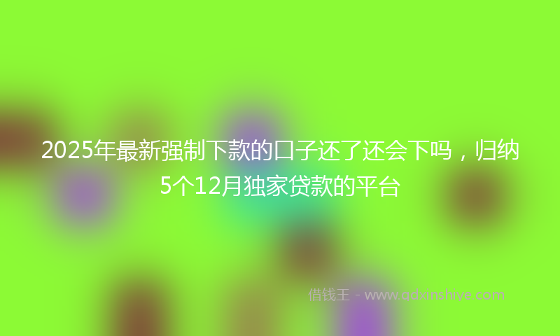 2025年最新强制下款的口子还了还会下吗，归纳5个12月独家贷款的平台