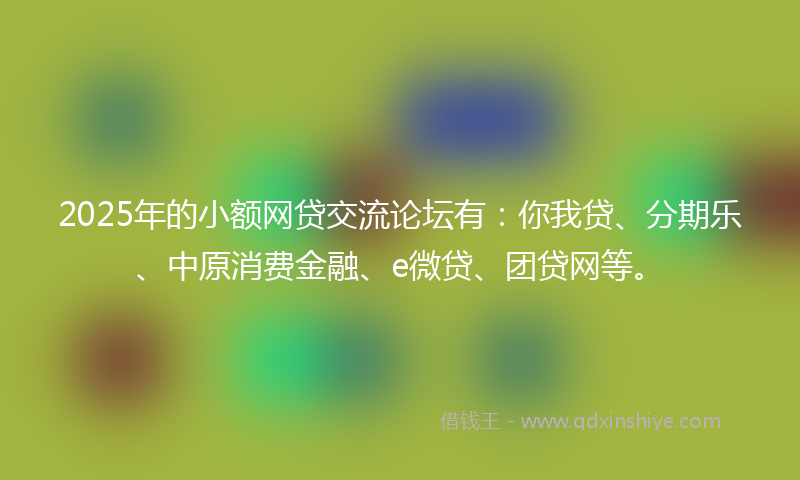 2025年的小额网贷交流论坛有：你我贷、分期乐、中原消费金融、e微贷、团贷网等。