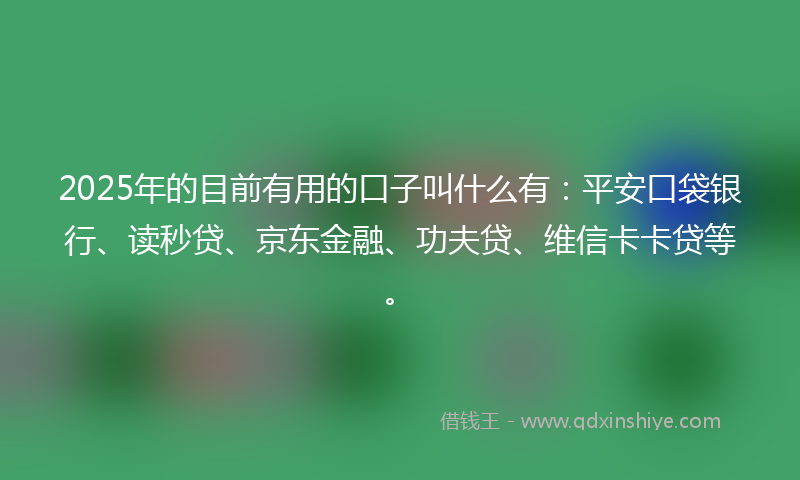 2025年的目前有用的口子叫什么有：平安口袋银行、读秒贷、京东金融、功夫贷、维信卡卡贷等。