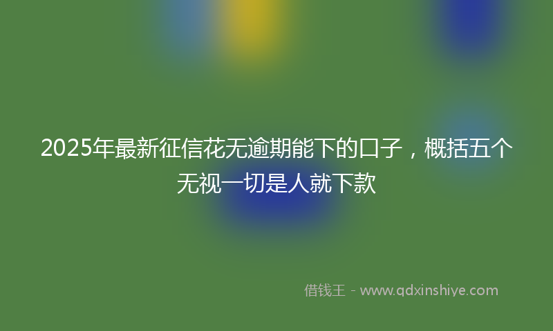 2025年最新征信花无逾期能下的口子，概括五个无视一切是人就下款