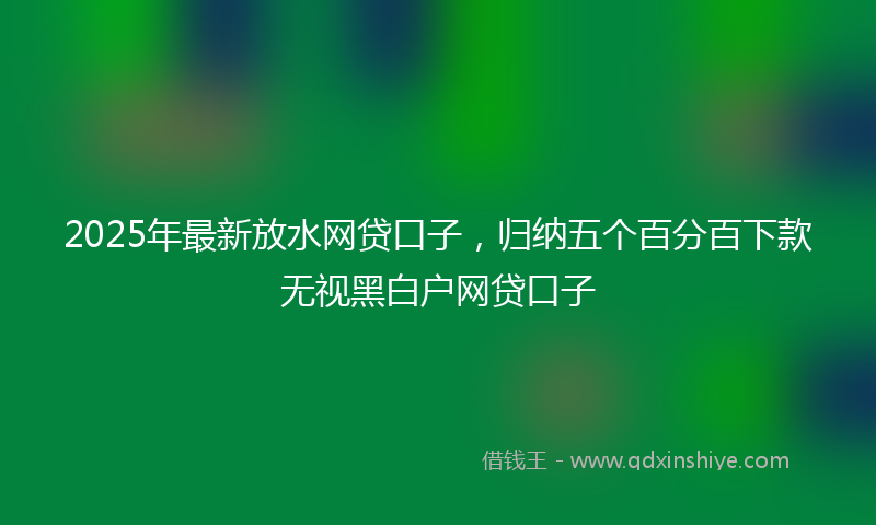2025年最新放水网贷口子，归纳五个百分百下款无视黑白户网贷口子
