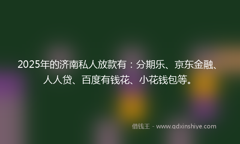 2025年的济南私人放款有：分期乐、京东金融、人人贷、百度有钱花、小花钱包等。
