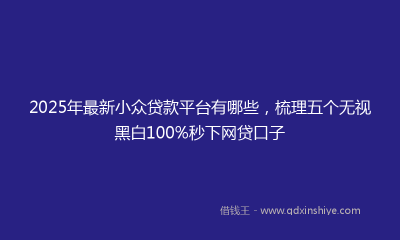 2025年最新小众贷款平台有哪些，梳理五个无视黑白100%秒下网贷口子