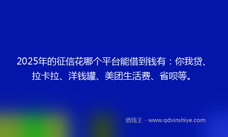 2025年的征信花哪个平台能借到钱有：你我贷、拉卡拉、洋钱罐、美团生活费、省呗等。