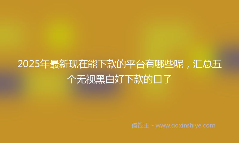 2025年最新现在能下款的平台有哪些呢，汇总五个无视黑白好下款的口子