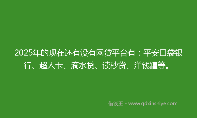 2025年的现在还有没有网贷平台有：平安口袋银行、超人卡、滴水贷、读秒贷、洋钱罐等。