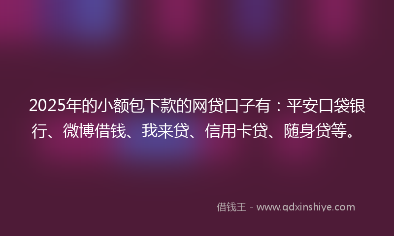 2025年的小额包下款的网贷口子有：平安口袋银行、微博借钱、我来贷、信用卡贷、随身贷等。