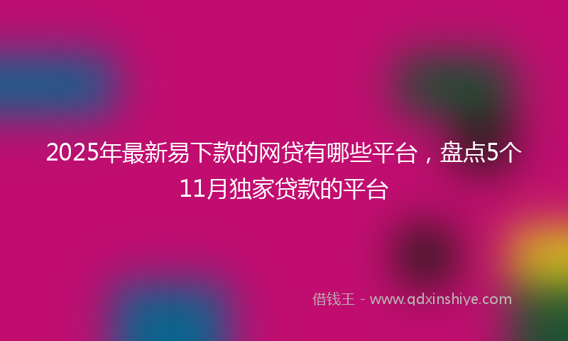 2025年最新易下款的网贷有哪些平台，盘点5个11月独家贷款的平台