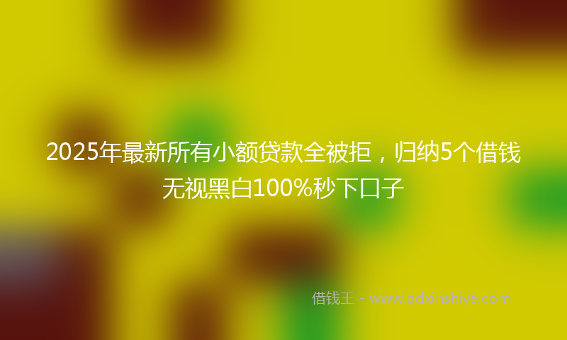 2025年最新所有小额贷款全被拒，归纳5个借钱无视黑白100%秒下口子