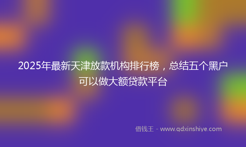 2025年最新天津放款机构排行榜，总结五个黑户可以做大额贷款平台