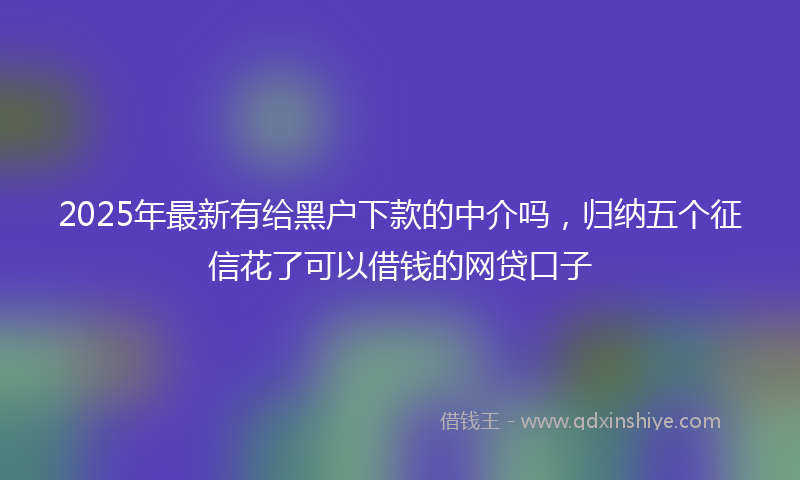 2025年最新有给黑户下款的中介吗，归纳五个征信花了可以借钱的网贷口子