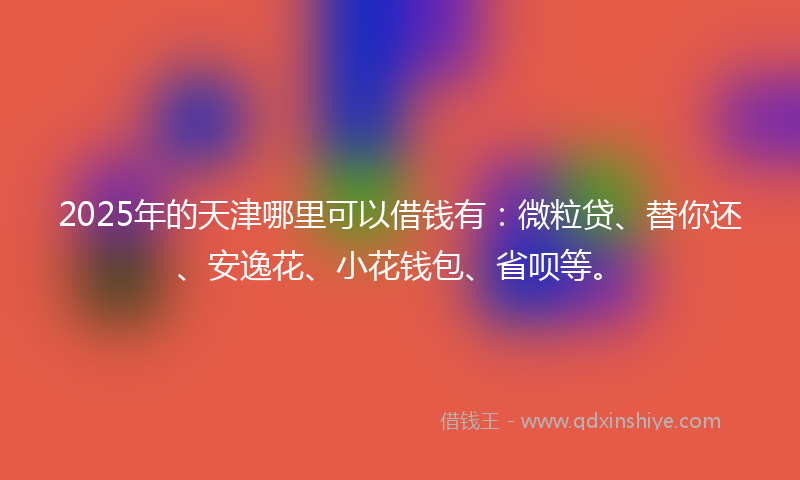 2025年的天津哪里可以借钱有：微粒贷、替你还、安逸花、小花钱包、省呗等。
