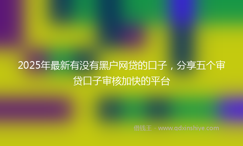 2025年最新有没有黑户网贷的口子，分享五个审贷口子审核加快的平台