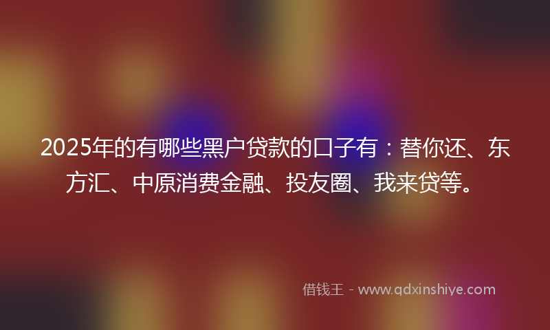 2025年的有哪些黑户贷款的口子有：替你还、东方汇、中原消费金融、投友圈、我来贷等。