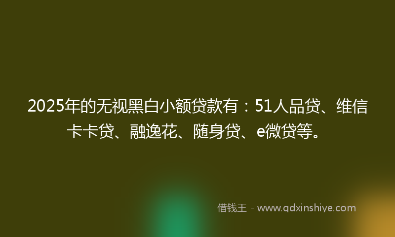 2025年的无视黑白小额贷款有：51人品贷、维信卡卡贷、融逸花、随身贷、e微贷等。