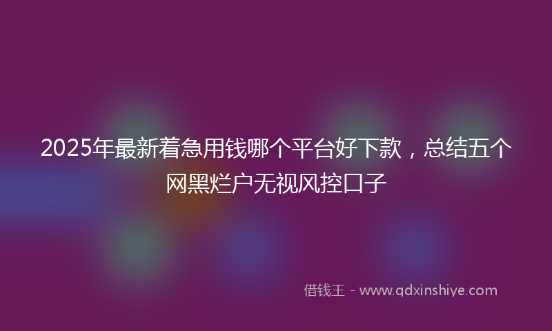 2025年最新着急用钱哪个平台好下款，总结五个网黑烂户无视风控口子